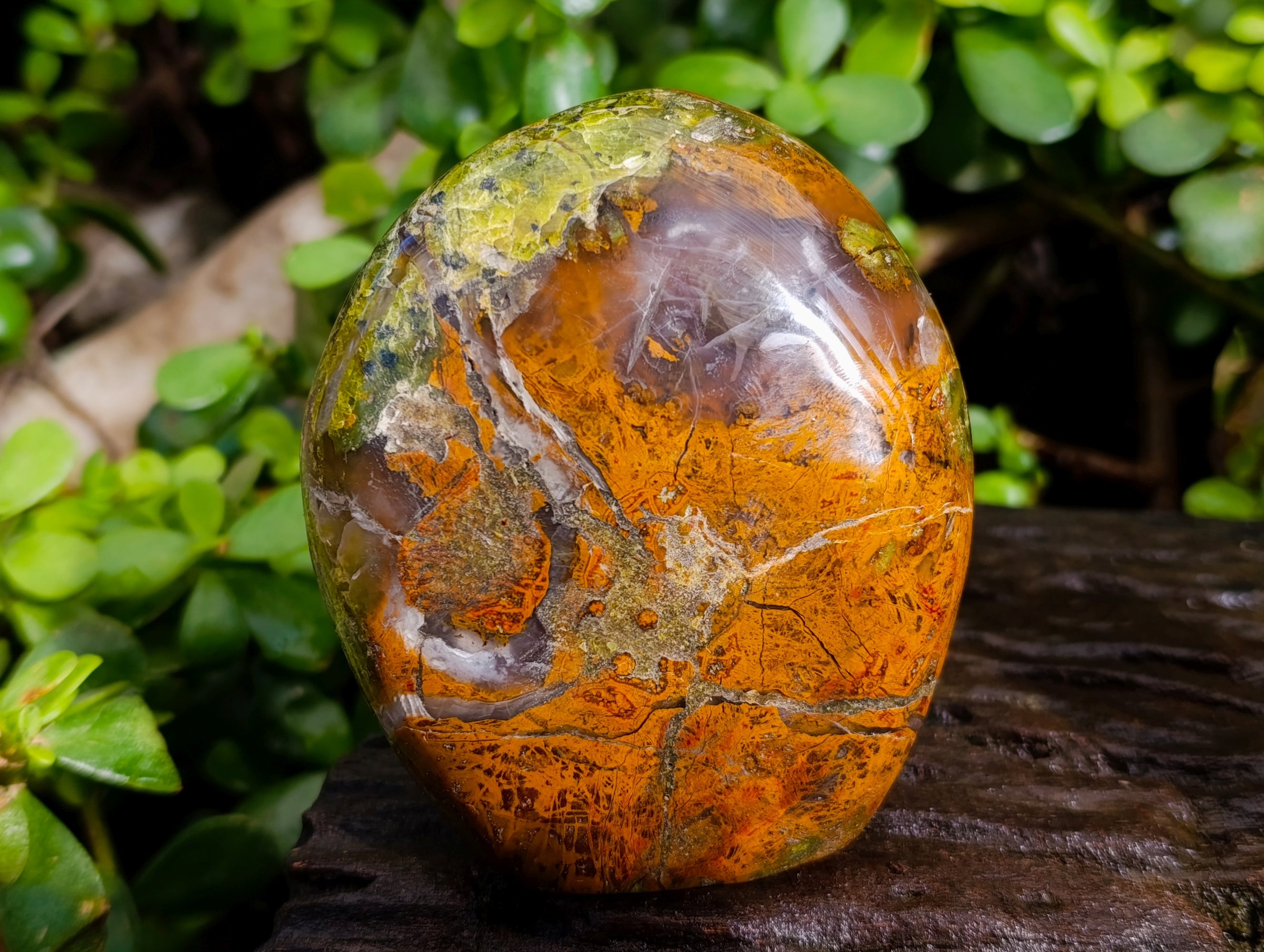 Polished Green Opal Standing Free Forms x 3 From Betroka, Madagascar - Toprock Gemstones and Minerals 