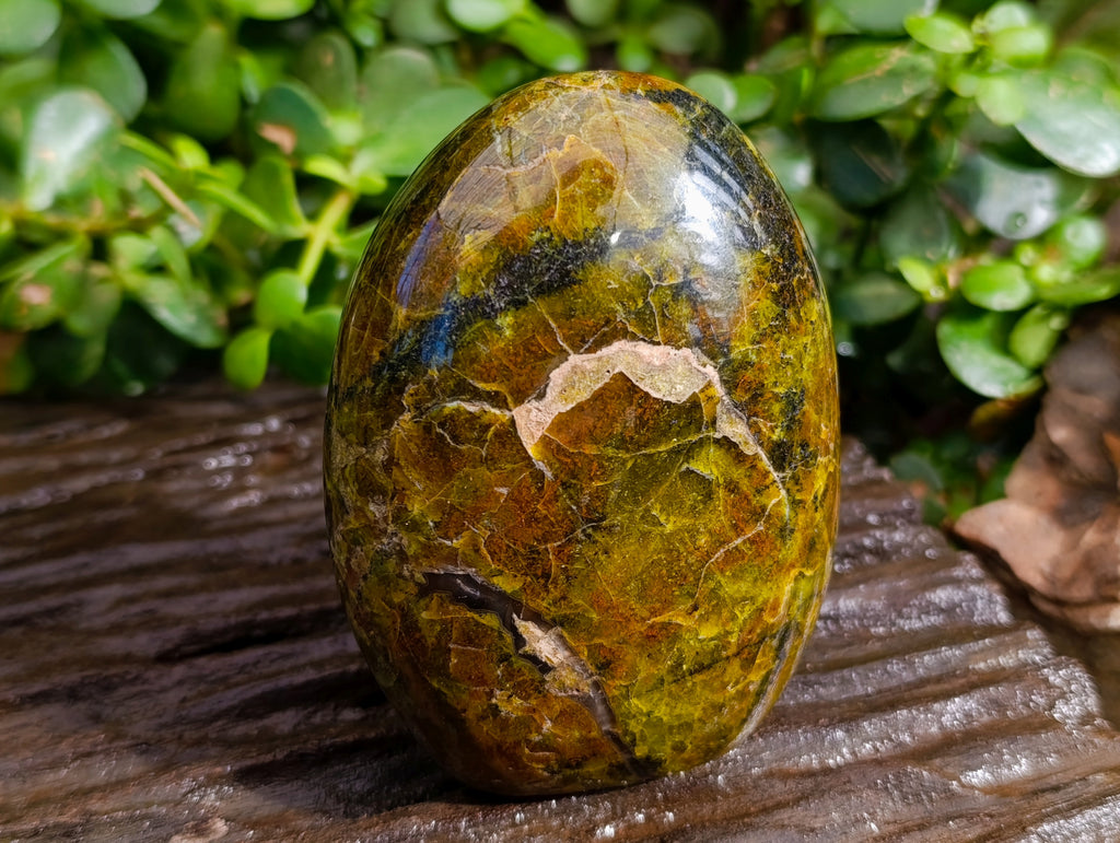 Polished Green Opal Standing Free Forms x 3 From Betroka, Madagascar - Toprock Gemstones and Minerals 