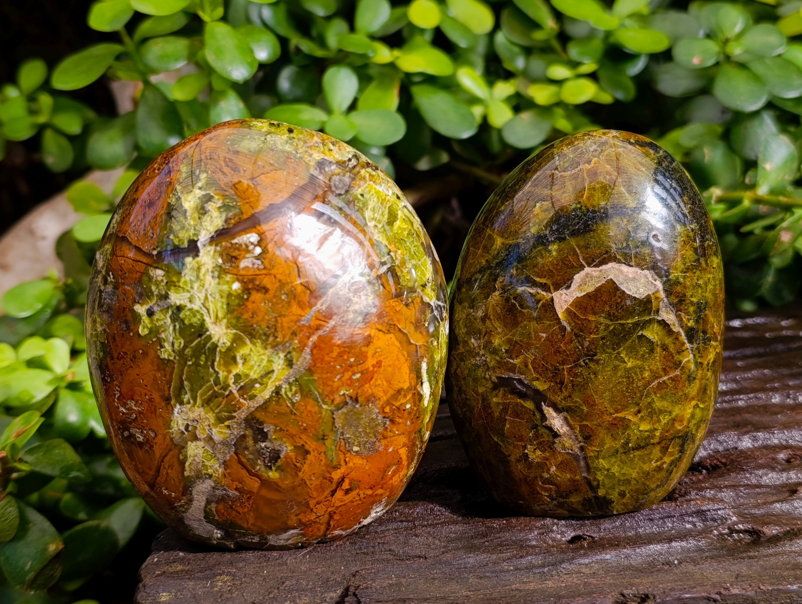 Polished Green Opal Standing Free Forms x 3 From Betroka, Madagascar - Toprock Gemstones and Minerals 