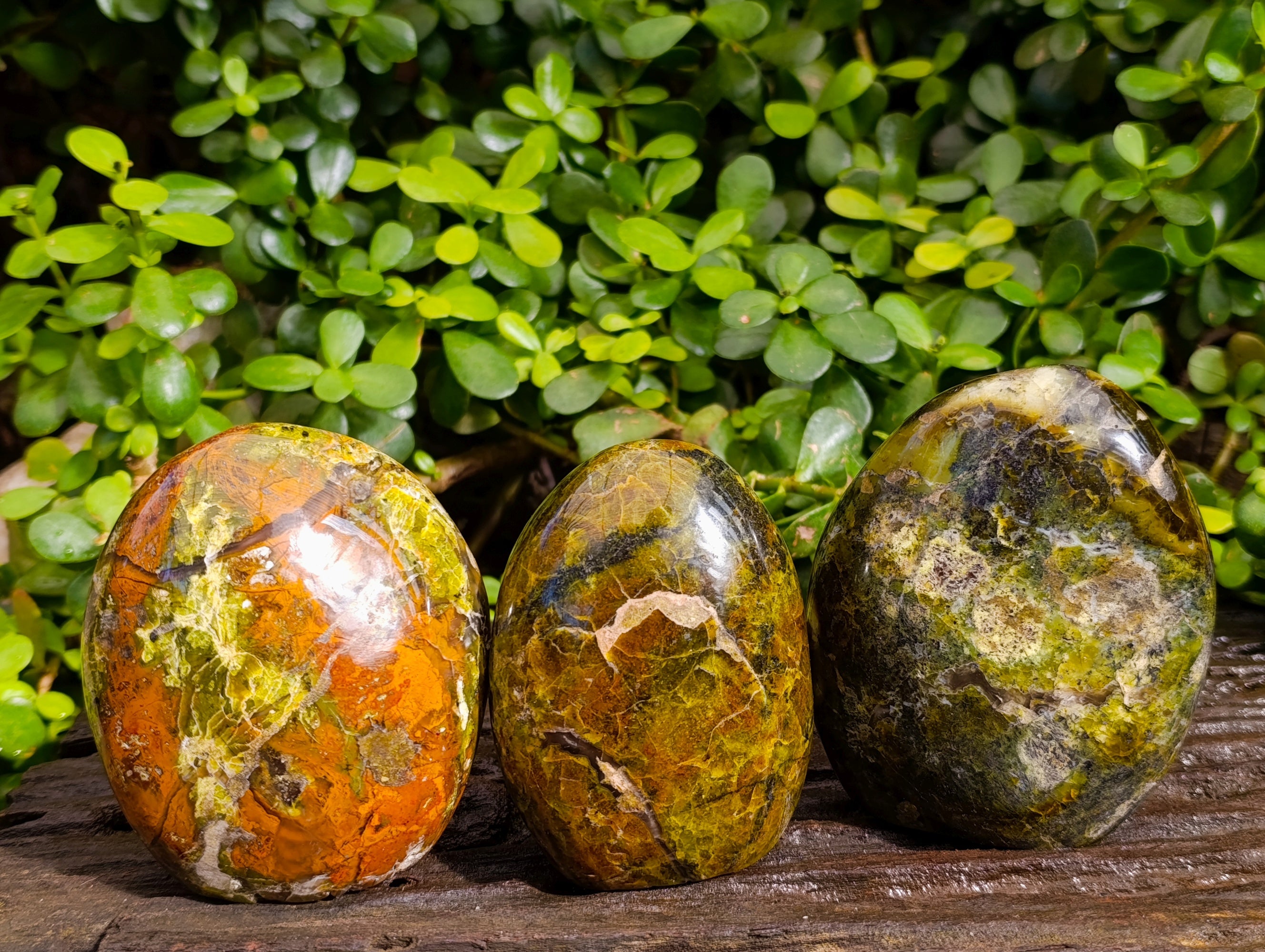 Polished Green Opal Standing Free Forms x 3 From Betroka, Madagascar - Toprock Gemstones and Minerals 