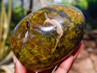 Polished Green Opal Standing Free Forms x 3 From Betroka, Madagascar - Toprock Gemstones and Minerals 