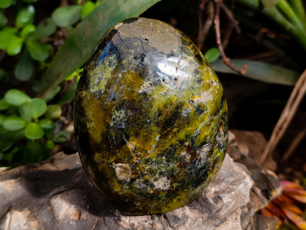 Polished Green Opal Standing Free Forms x 3 From Betroka, Madagascar - Toprock Gemstones and Minerals 