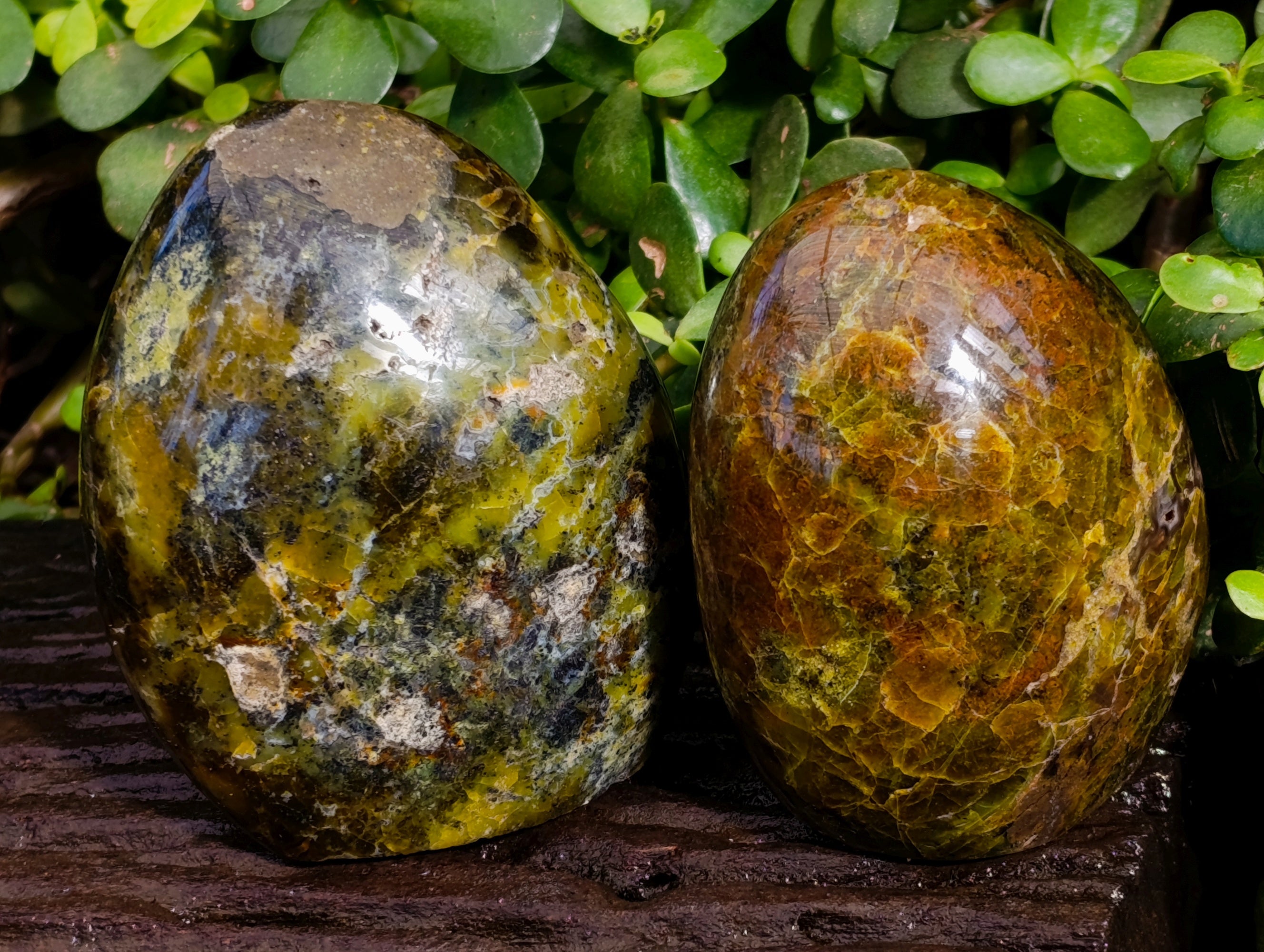 Polished Green Opal Standing Free Forms x 3 From Betroka, Madagascar - Toprock Gemstones and Minerals 