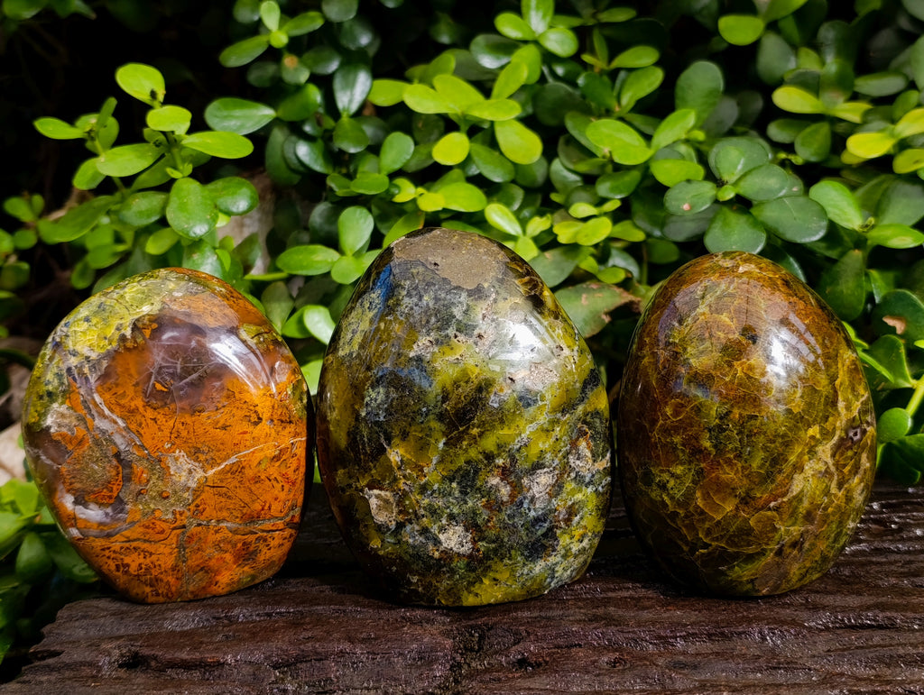 Polished Green Opal Standing Free Forms x 3 From Betroka, Madagascar - Toprock Gemstones and Minerals 