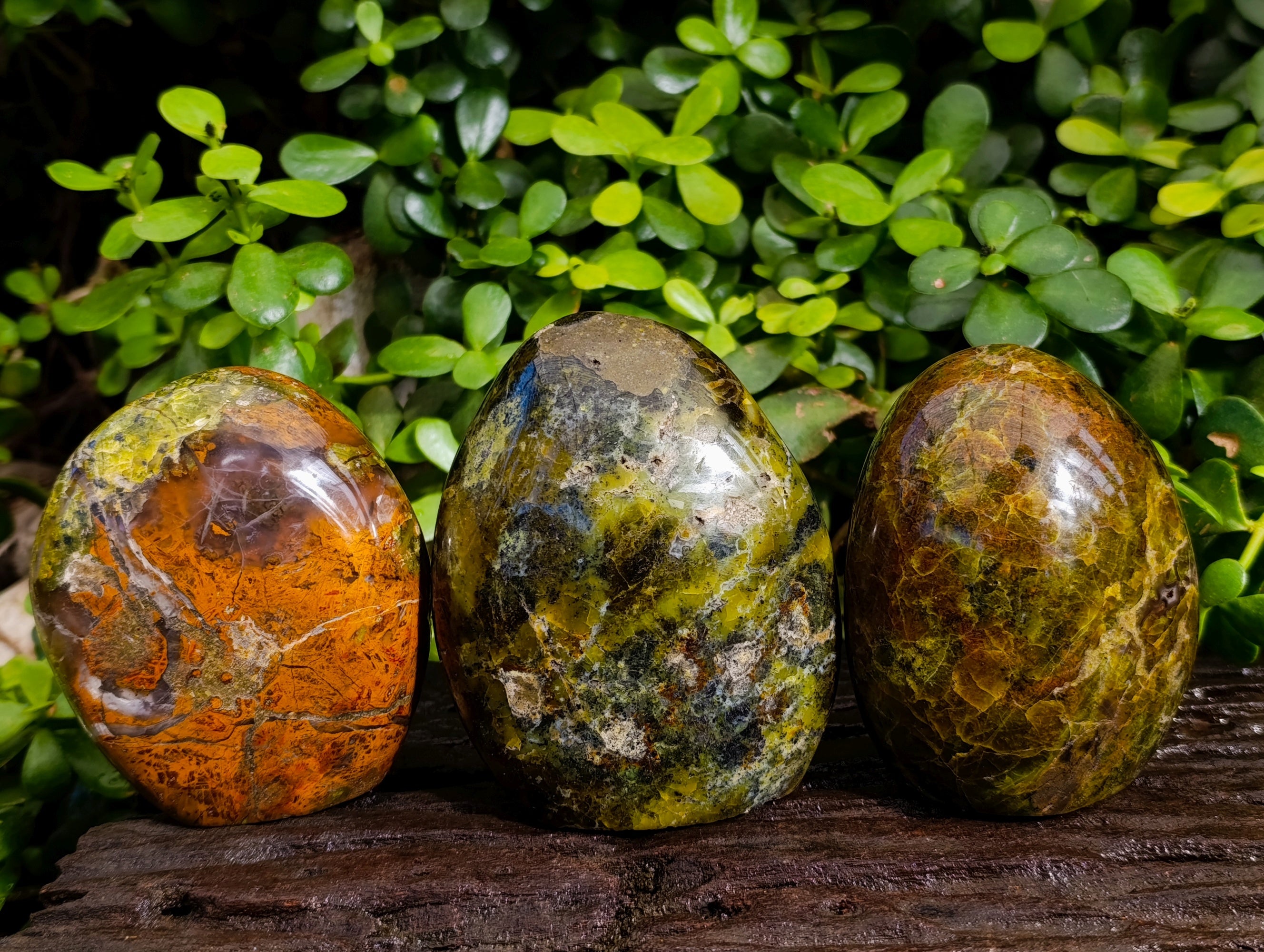 Polished Green Opal Standing Free Forms x 3 From Betroka, Madagascar - Toprock Gemstones and Minerals 