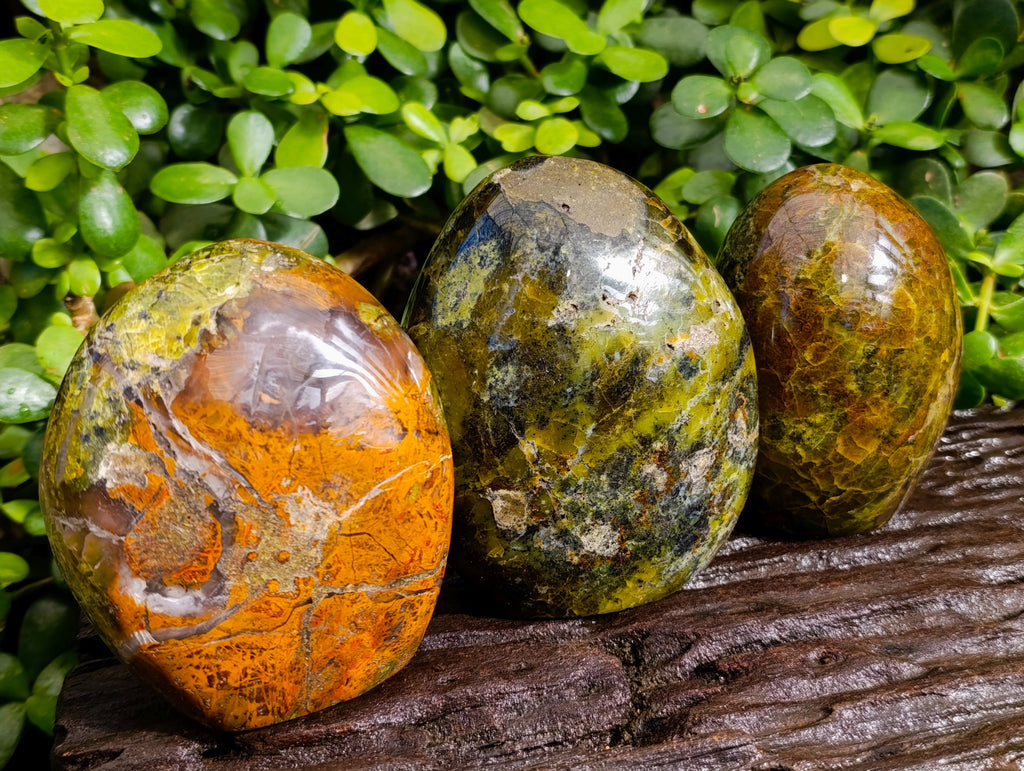 Polished Green Opal Standing Free Forms x 3 From Betroka, Madagascar - Toprock Gemstones and Minerals 