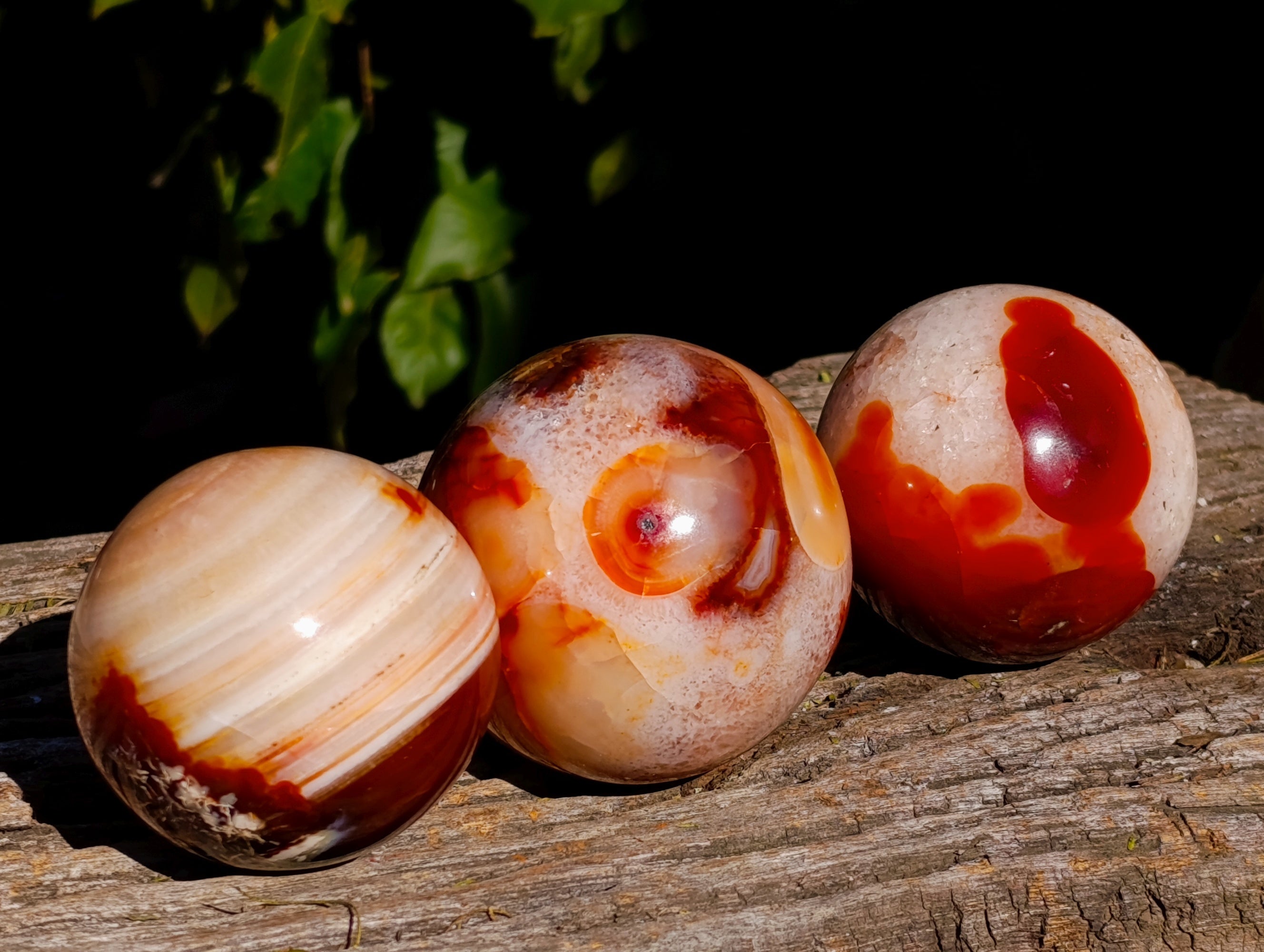 Polished Carnelian Agate Spheres x 3 From Madagascar - Toprock Gemstones and Minerals 