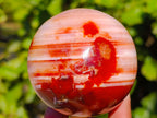 Polished Carnelian Agate Spheres x 3 From Madagascar - Toprock Gemstones and Minerals 