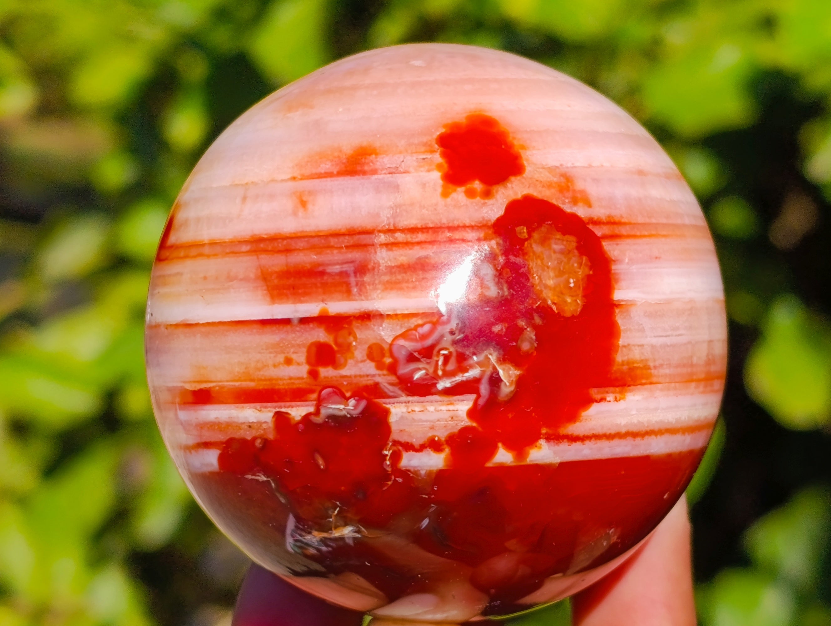 Polished Carnelian Agate Spheres x 3 From Madagascar - Toprock Gemstones and Minerals 
