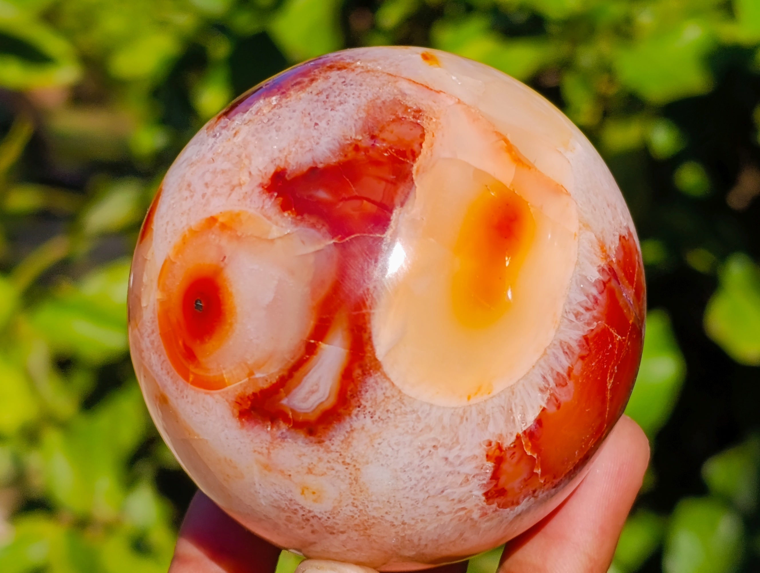 Polished Carnelian Agate Spheres x 3 From Madagascar - Toprock Gemstones and Minerals 