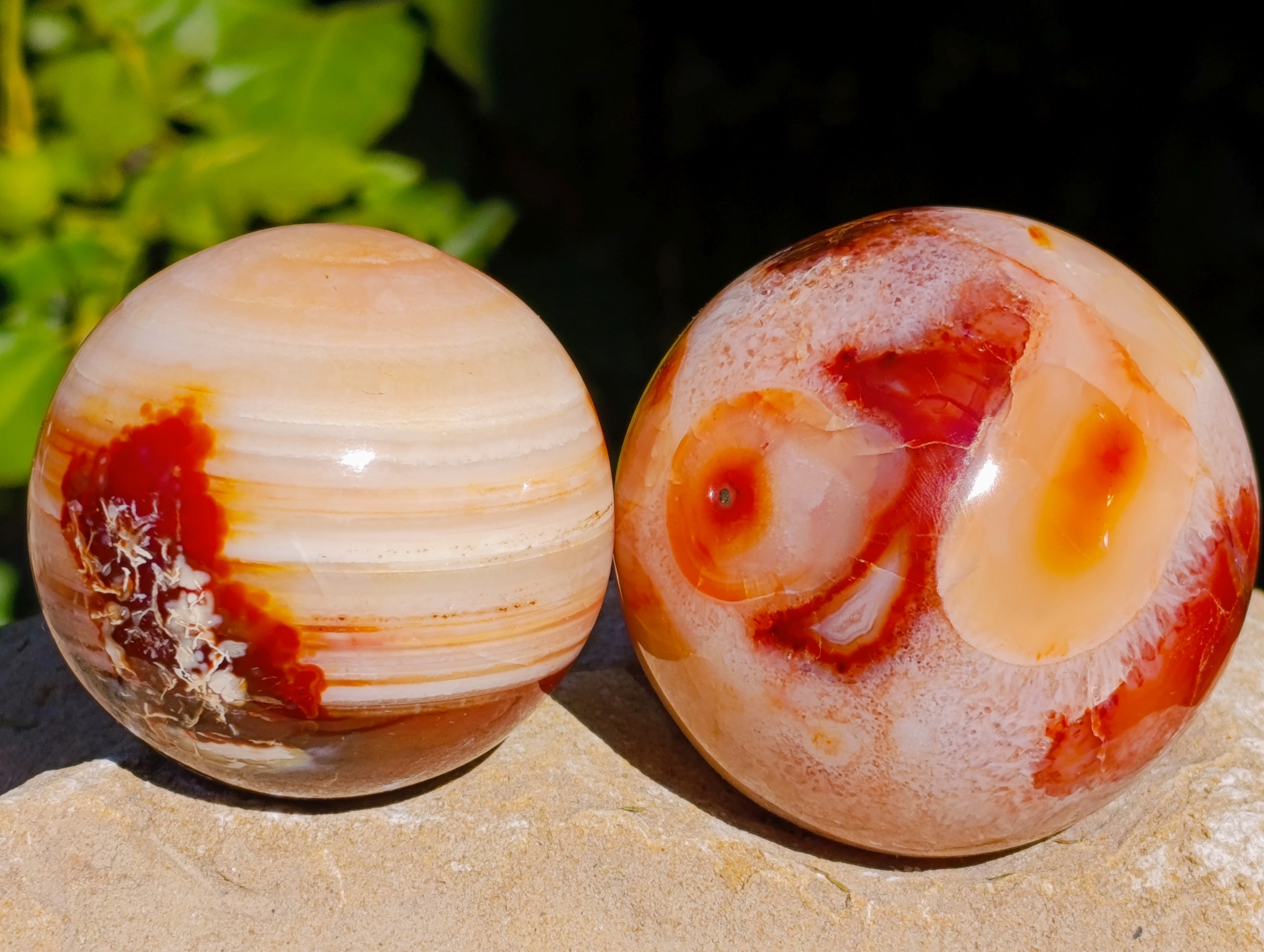 Polished Carnelian Agate Spheres x 3 From Madagascar - Toprock Gemstones and Minerals 