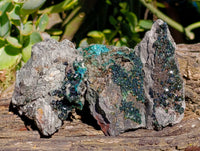 Natural Libethenite Crystals On Dolomite Matrix Specimens x 6 From Shituru, Congo