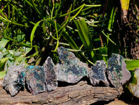 Natural Libethenite Crystals On Dolomite Matrix Specimens x 6 From Shituru, Congo