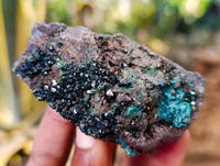 Natural Libethenite Crystals On Dolomite Matrix Specimens x 6 From Shituru, Congo