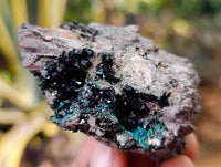 Natural Libethenite Crystals On Dolomite Matrix Specimens x 6 From Shituru, Congo