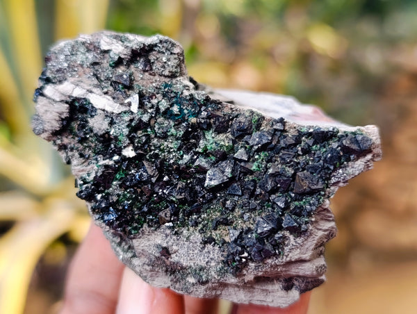 Natural Libethenite Crystals On Dolomite Matrix Specimens x 6 From Shituru, Congo