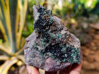 Natural Libethenite Crystals On Dolomite Matrix Specimens x 6 From Shituru, Congo