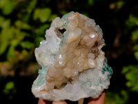 Natural Drusy Coated Chrysocolla and Malachite with Hemimorphite Specimens x 6 From Lupoto Mine, Congo - Toprock Gemstones and Minerals 
