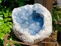 Natural Extra Large AA Grade Celestite Geode Specimen x 1 From Sakoany, Madagascar