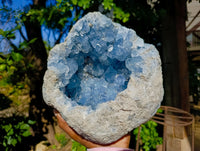 Natural Extra Large AA Grade Celestite Geode Specimen x 1 From Sakoany, Madagascar