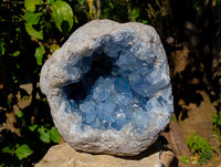 Natural Extra Large AA Grade Celestite Geode Specimen x 1 From Sakoany, Madagascar
