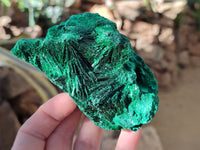 Natural Silky Malachite Specimens x 3 From Kasompe, Congo - Toprock Gemstones and Minerals 