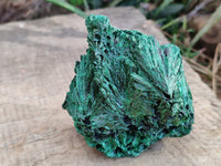 Natural Silky Malachite Specimens x 3 From Kasompe, Congo - Toprock Gemstones and Minerals 