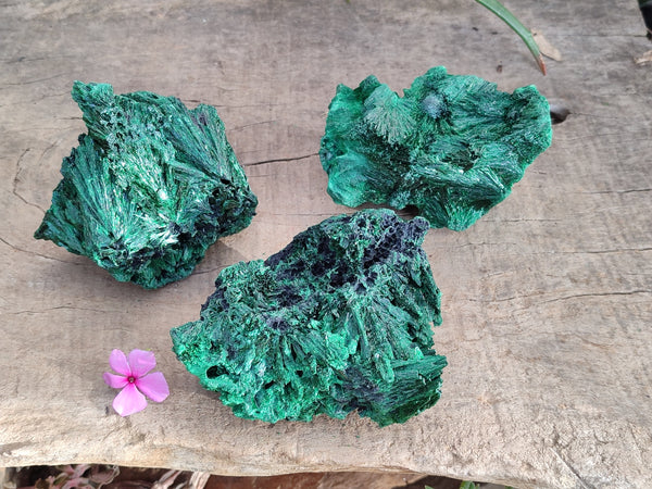 Natural Silky Malachite Specimens x 3 From Kasompe, Congo