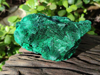 Natural Silky Malachite Specimens x 3 From Kasompe, Congo - Toprock Gemstones and Minerals 
