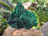 Natural Silky Malachite Specimens x 3 From Kasompe, Congo - Toprock Gemstones and Minerals 