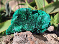 Natural Silky Malachite Specimens x 3 From Kasompe, Congo - Toprock Gemstones and Minerals 