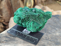 Natural Silky Malachite Specimens x 3 From Kasompe, Congo - Toprock Gemstones and Minerals 