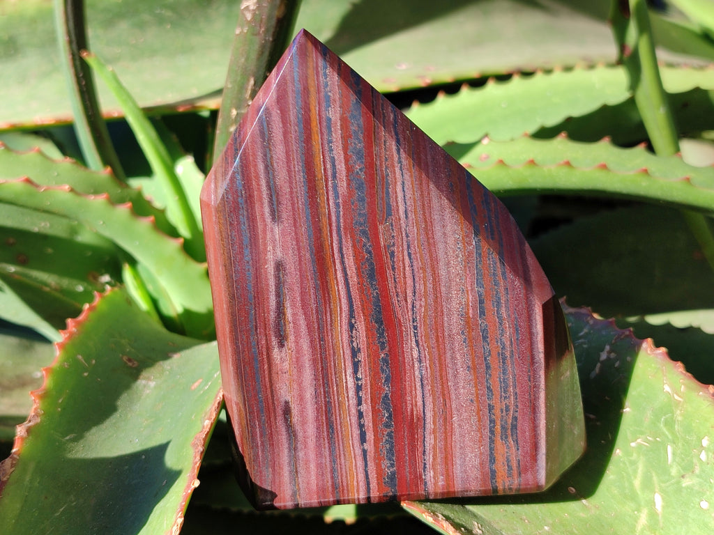 Polished Banded Tiger Iron Jasper Points x 2 From Northern Cape, South Africa - Toprock Gemstones and Minerals 