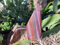 Polished Banded Tiger Iron Jasper Points x 2 From Northern Cape, South Africa - Toprock Gemstones and Minerals 