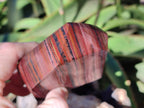 Polished Banded Tiger Iron Jasper Points x 2 From Northern Cape, South Africa - Toprock Gemstones and Minerals 