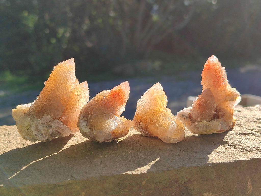 Natural Limonite Coated Fairy Spirit Quartz Clusters x 35 From South Africa - Toprock Gemstones and Minerals 