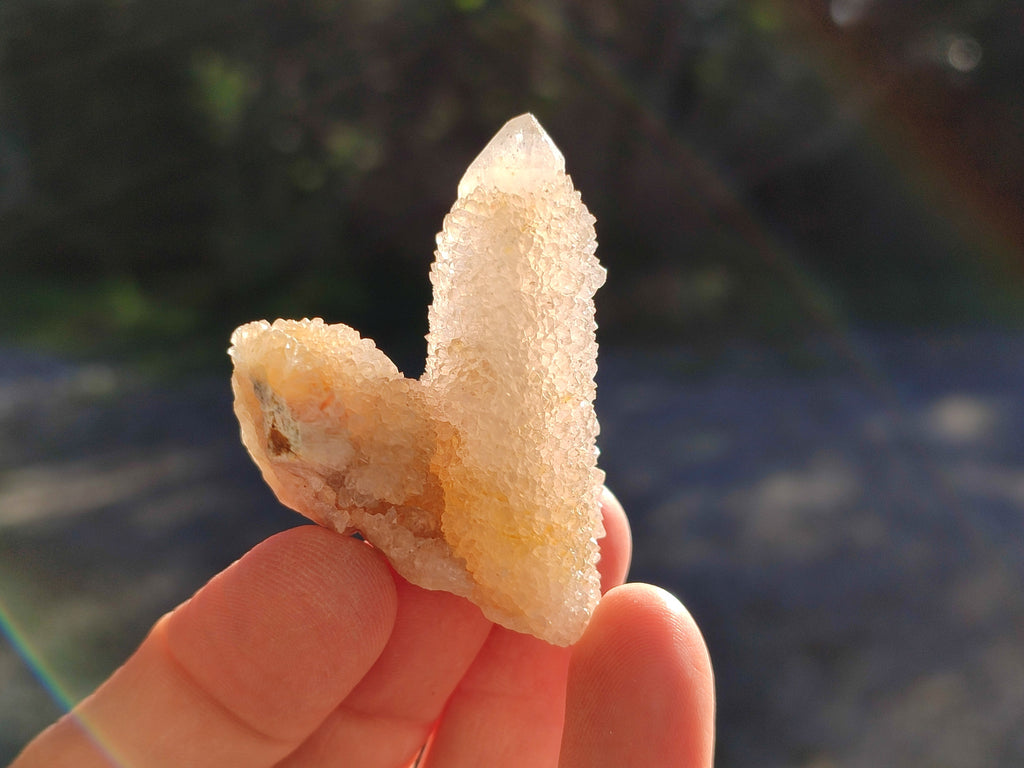 Natural Limonite Coated Fairy Spirit Quartz Clusters x 35 From South Africa - Toprock Gemstones and Minerals 
