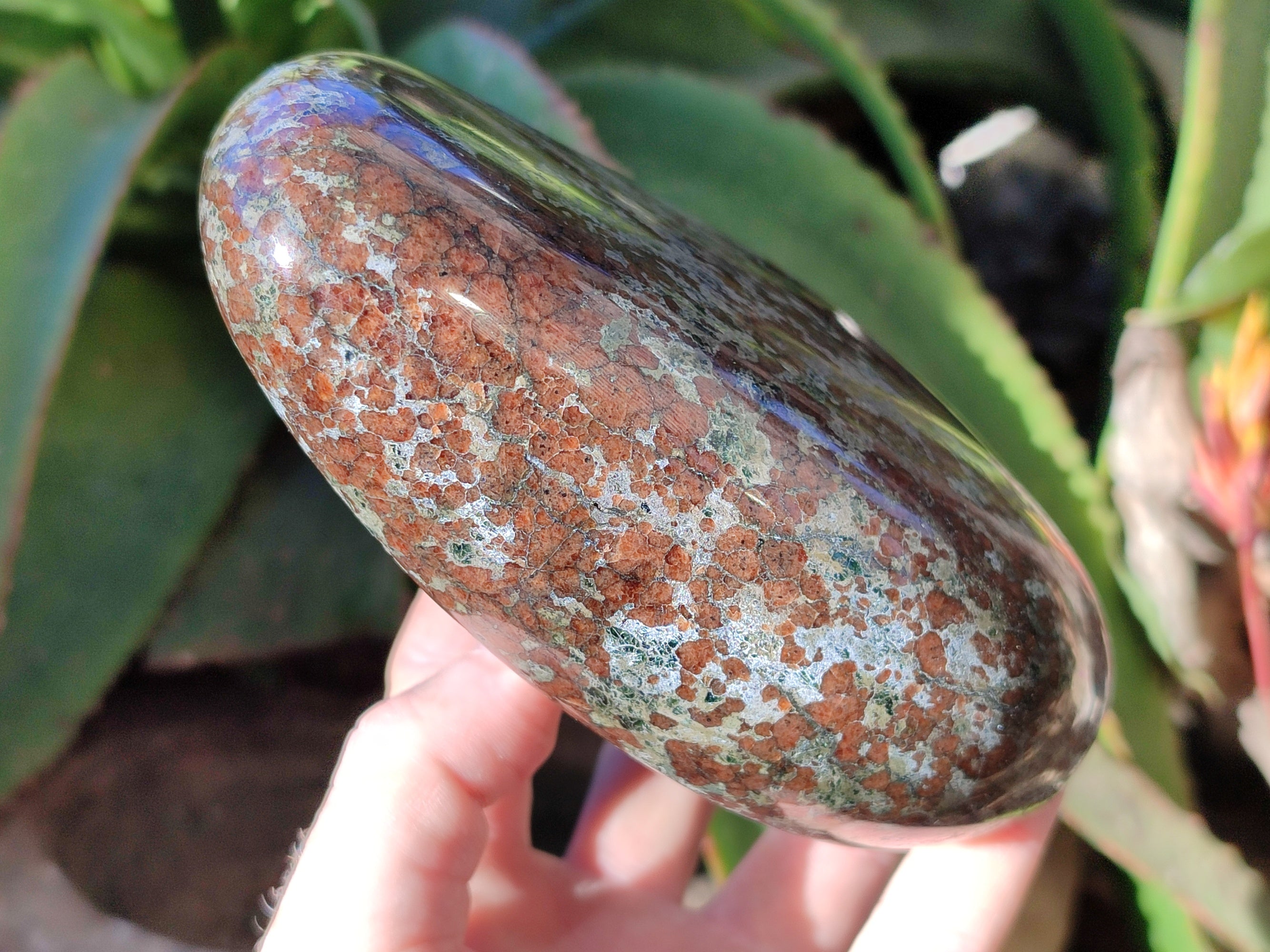 Polished Eclogite Standing Free Form x 1 From Northern Cape, South Africa - Toprock Gemstones and Minerals 