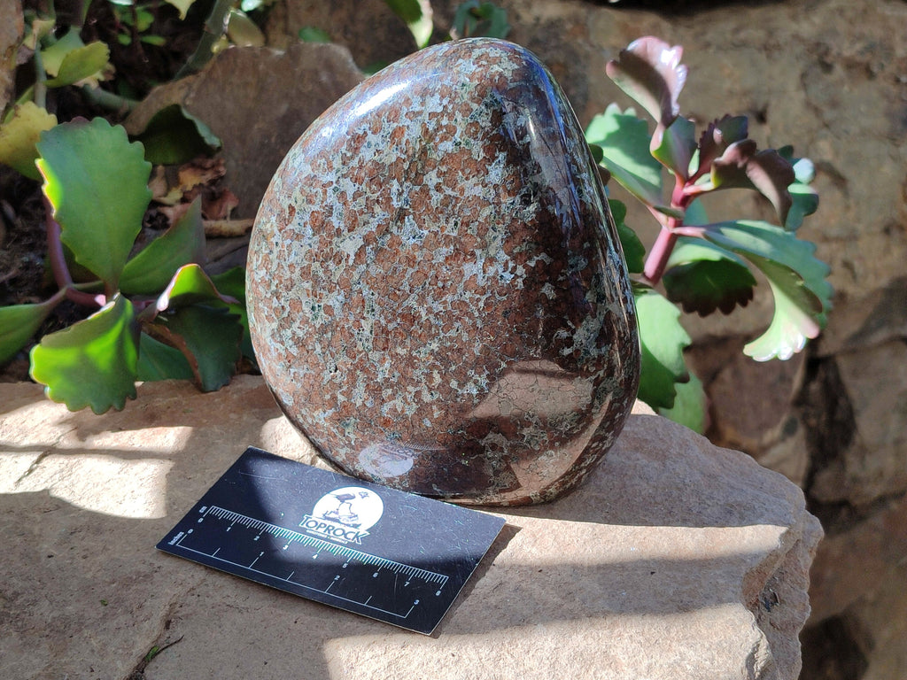 Polished Eclogite Standing Free Form x 1 From Northern Cape, South Africa - Toprock Gemstones and Minerals 