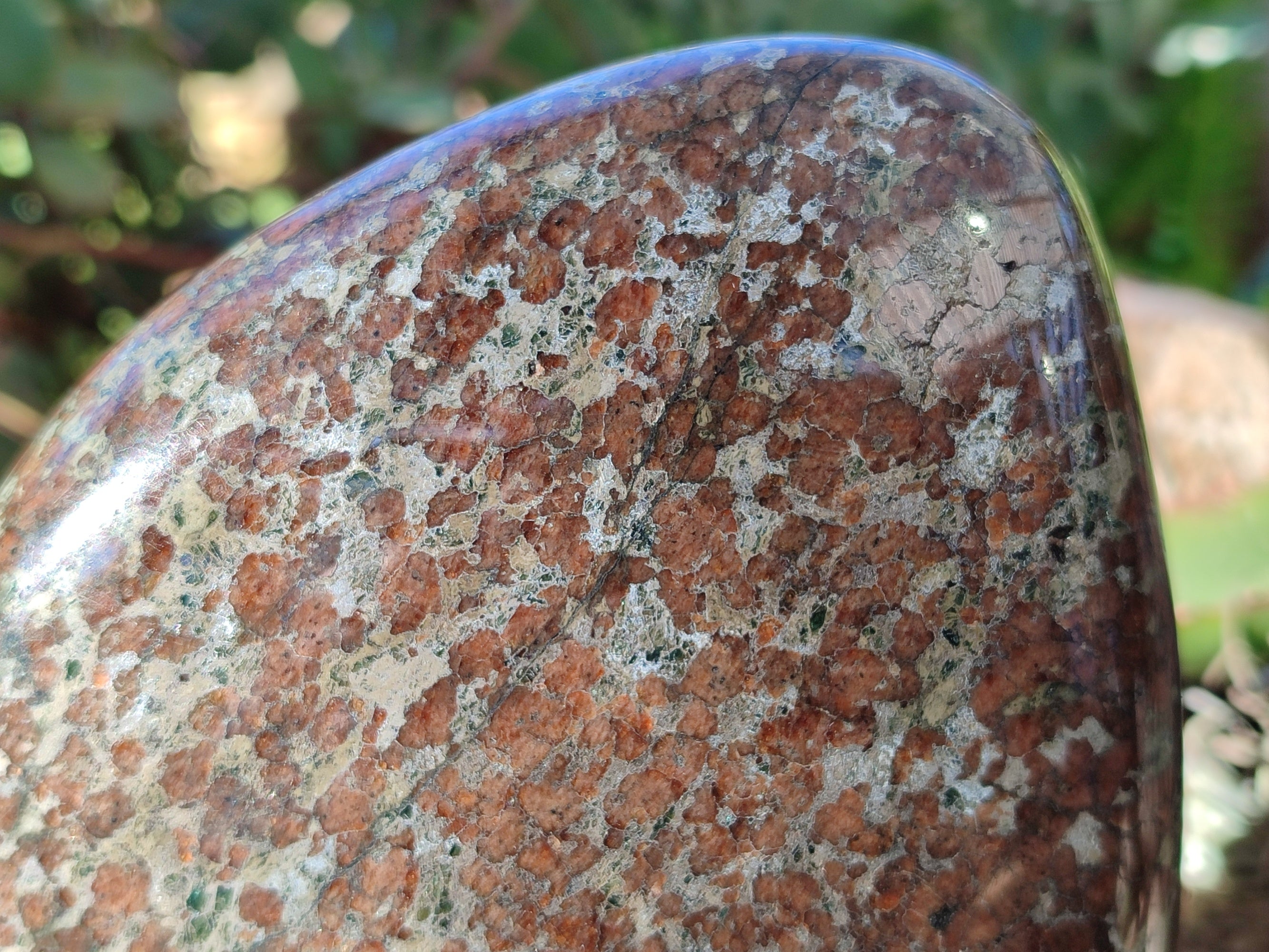 Polished Eclogite Standing Free Form x 1 From Northern Cape, South Africa - Toprock Gemstones and Minerals 