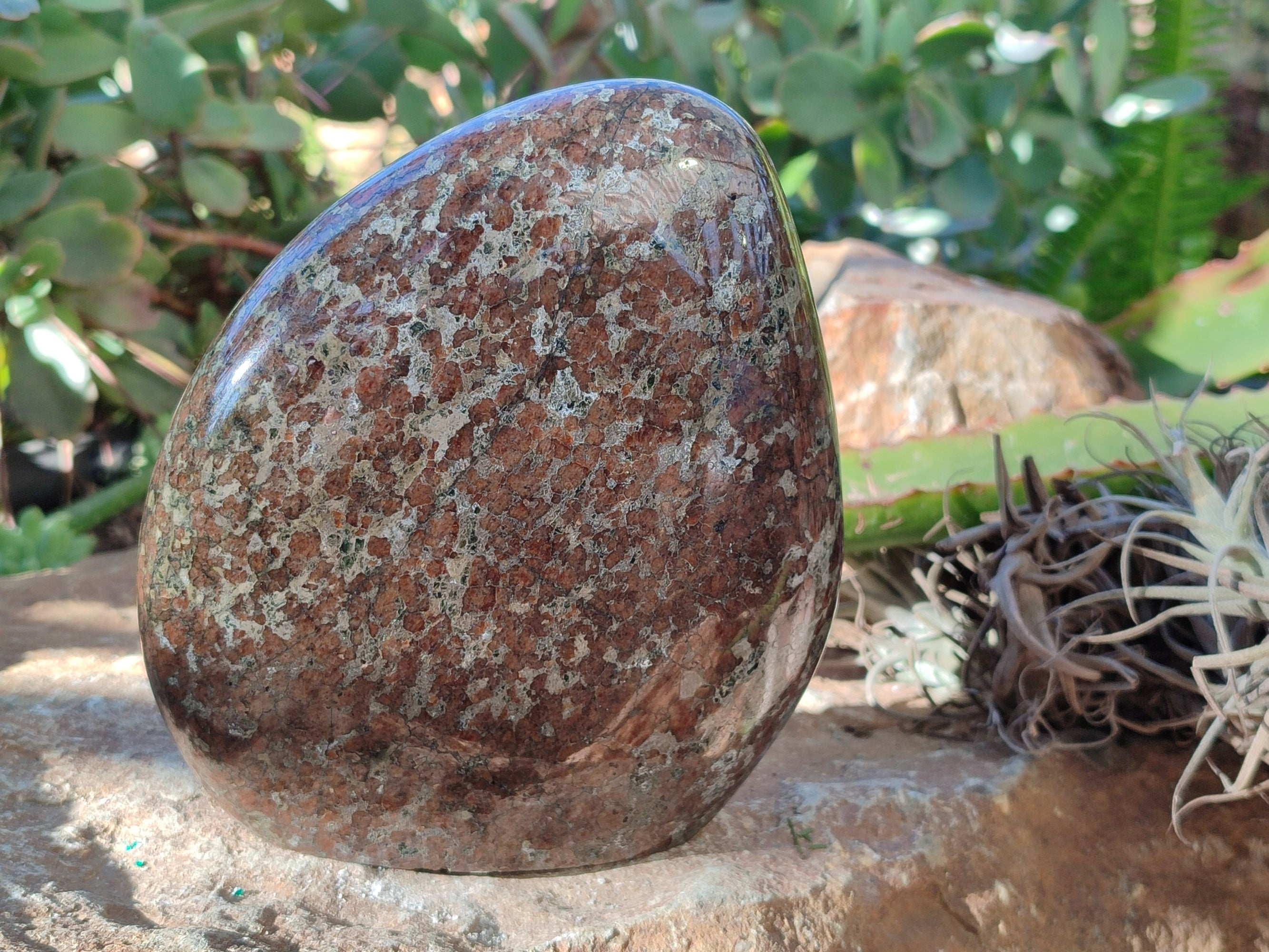 Polished Eclogite Standing Free Form x 1 From Northern Cape, South Africa - Toprock Gemstones and Minerals 
