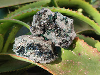 Natural Libethenite Crystals On Dolomite Matrix Specimens x 6 From Shituru, Congo