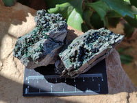 Natural Libethenite Crystals On Dolomite Matrix Specimens x 6 From Shituru, Congo