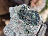 Natural Libethenite Crystals On Dolomite Matrix Specimens x 6 From Shituru, Congo