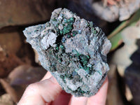 Natural Libethenite Crystals On Dolomite Matrix Specimens x 6 From Shituru, Congo
