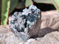 Natural Libethenite Crystals On Dolomite Matrix Specimens x 6 From Shituru, Congo