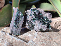 Natural Libethenite Crystals On Dolomite Matrix Specimens x 6 From Shituru, Congo