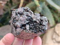 Natural Libethenite Crystals On Dolomite Matrix Specimens x 6 From Shituru, Congo