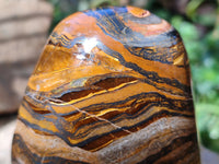Polished Golden River Tigers Eye Standing Free Forms x 2 From Prieska, South Africa - Toprock Gemstones and Minerals 