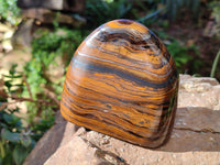 Polished Golden River Tigers Eye Standing Free Forms x 2 From Prieska, South Africa - Toprock Gemstones and Minerals 
